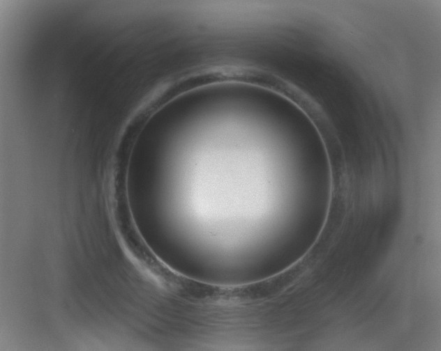 X0000083590730200702091152