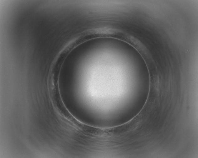 X0000083590731200702091152