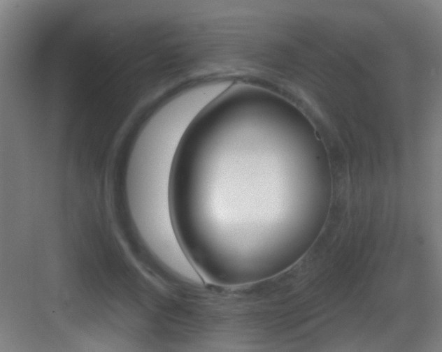 X0000083590736200702091153