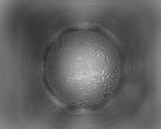 X0000083590737200702091153