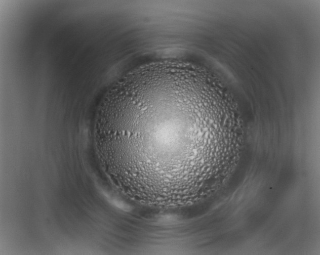 X0000083590741200702091153