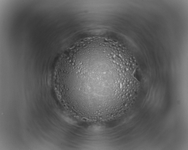 X0000083590745200702091153