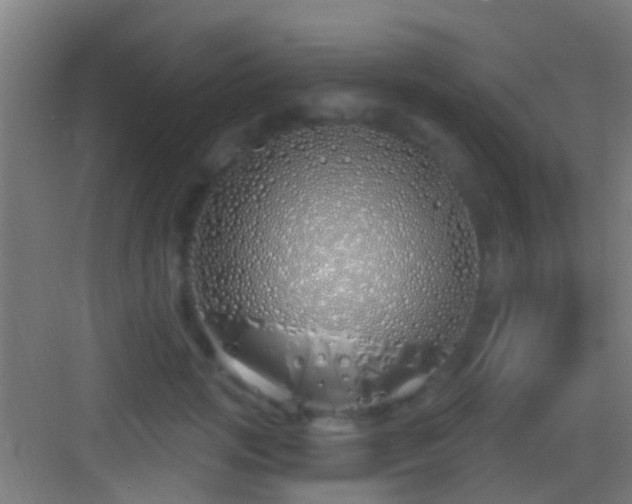 X0000083590749200702091153