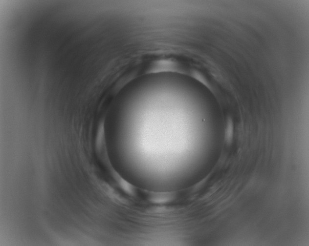 X0000083590750200702091153
