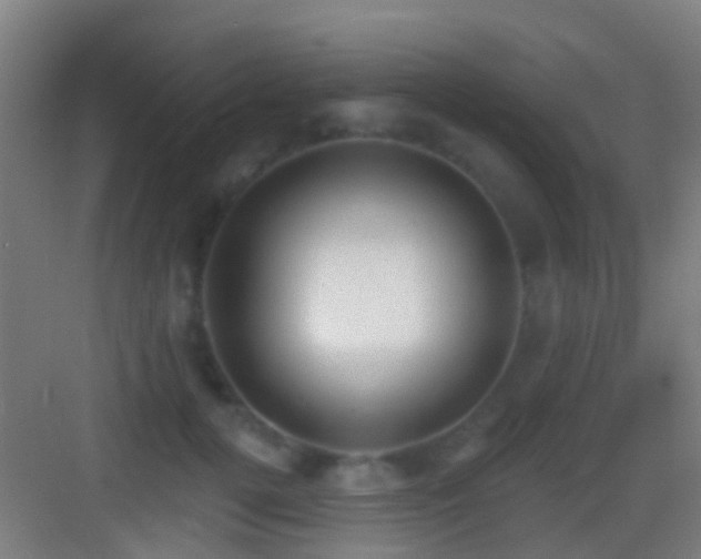 X0000083590752200702091153