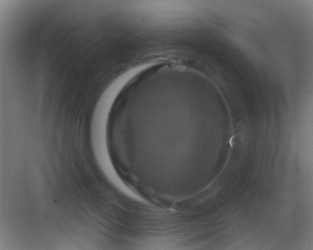 X0000083590754200702091153