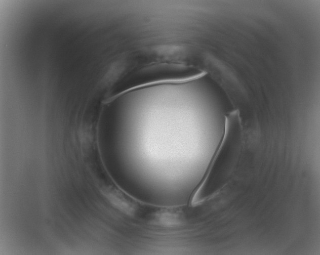 X0000083590756200702091153