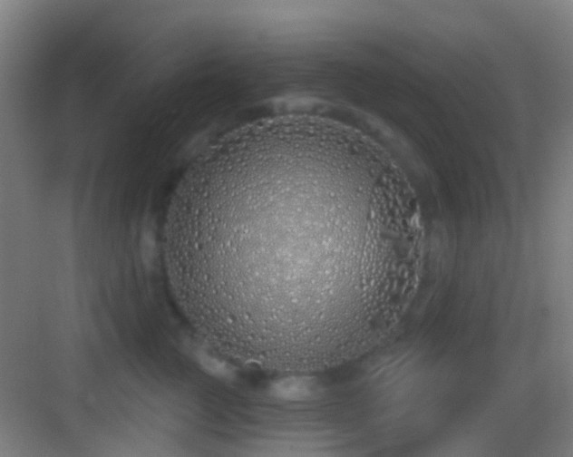 X0000083590761200702091153