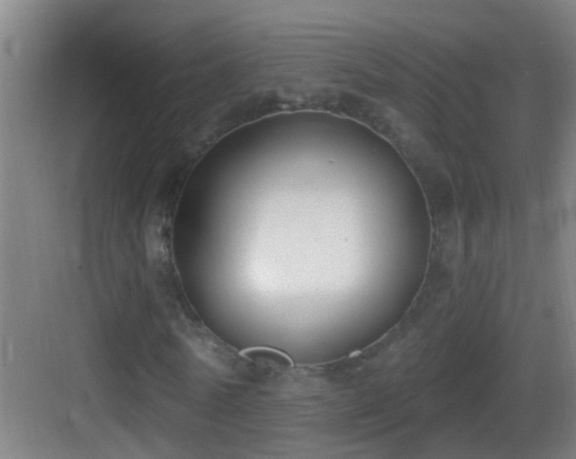 X0000083590770200702091152