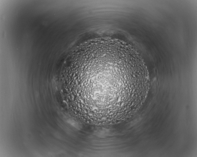 X0000083590772200702091152