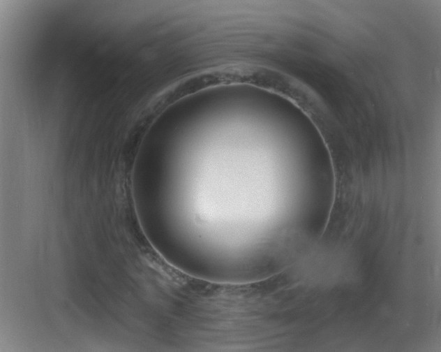 X0000083590773200702091152