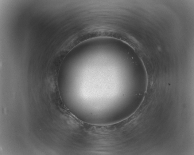 X0000083590774200702091152