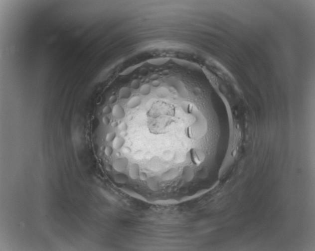X0000083590775200702091152