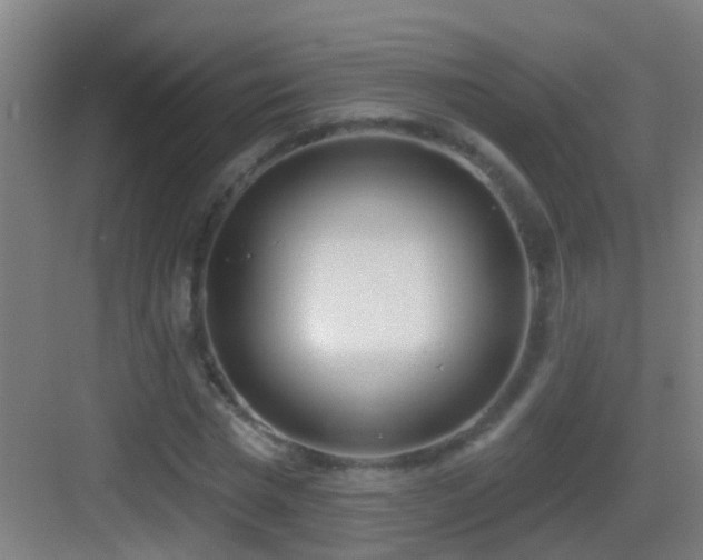 X0000083590777200702091152