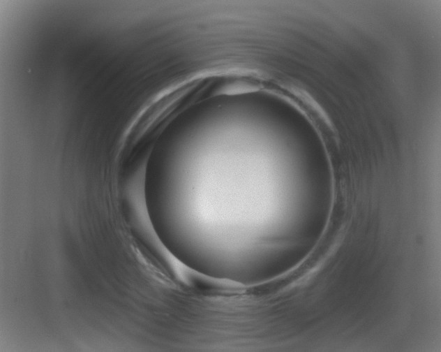 X0000083590781200702091152