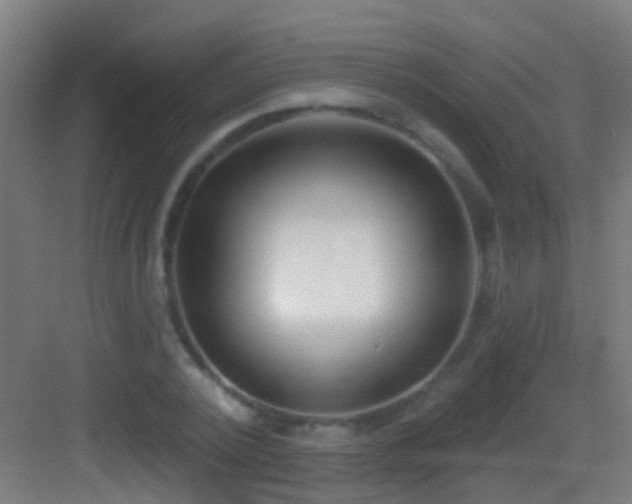 X0000083590784200702091152