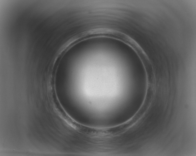 X0000083590786200702091152