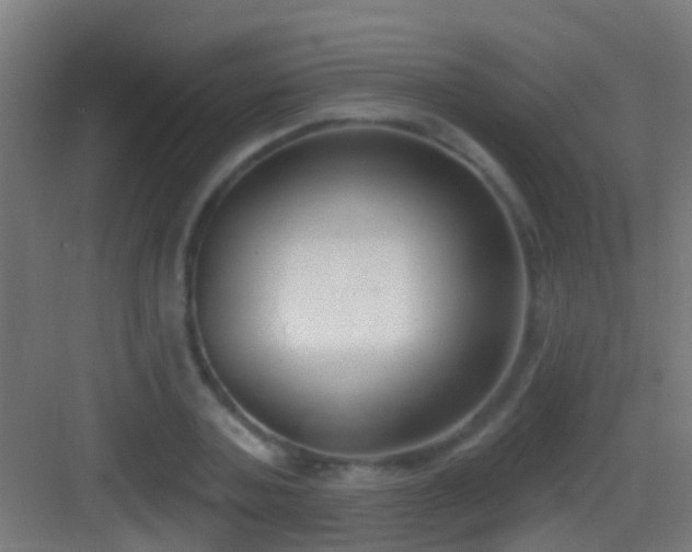 X0000083590787200702091152