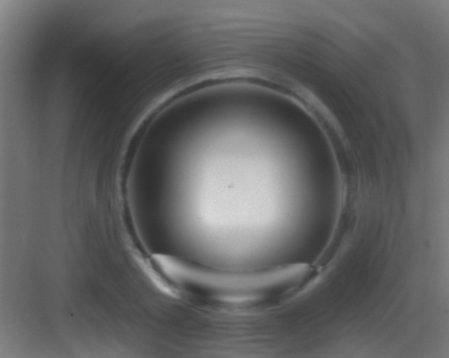 X0000083590789200702091152