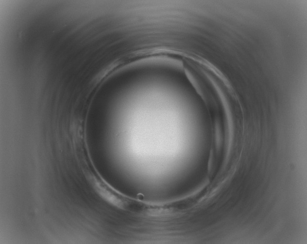 X0000083590793200702091152