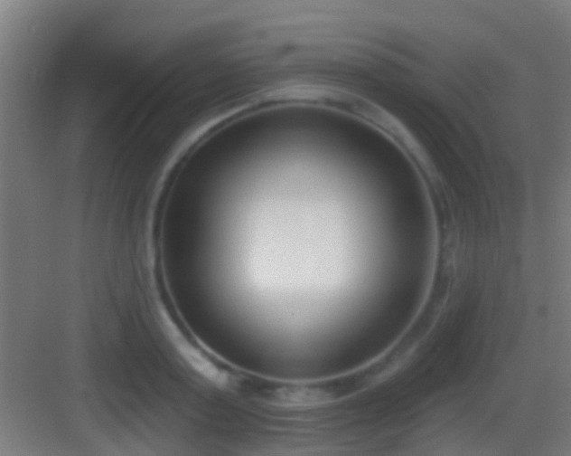 X0000083590795200702091152