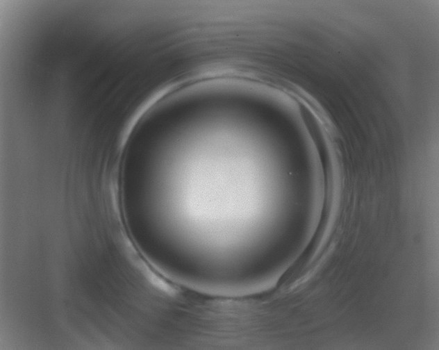 X0000083590812200702091152