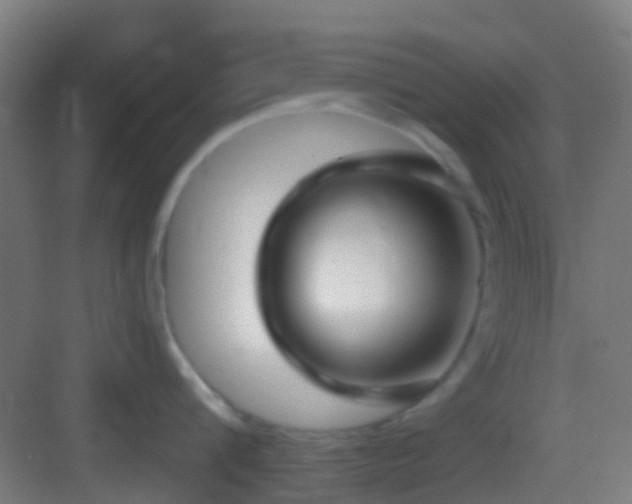 X0000083590816200702091151