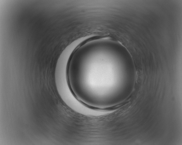 X0000083590818200702091151