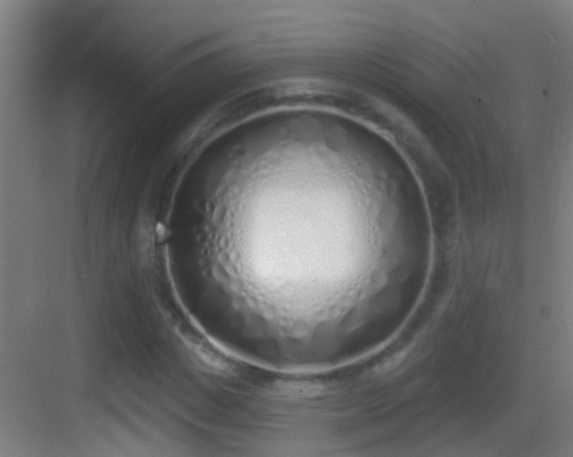 X0000083590825200702091151