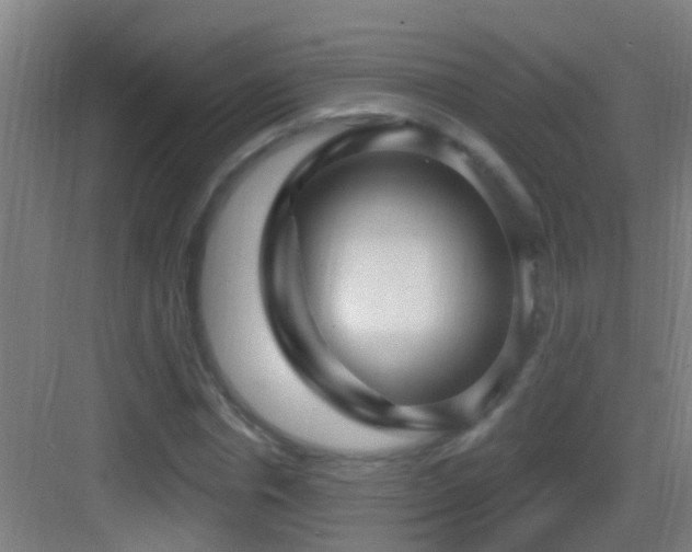 X0000083590826200702091151