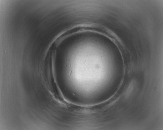 X0000083590829200702091151