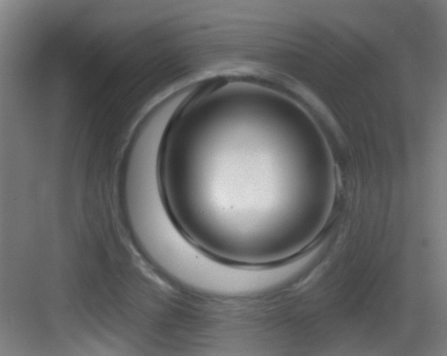 X0000083590834200702091151