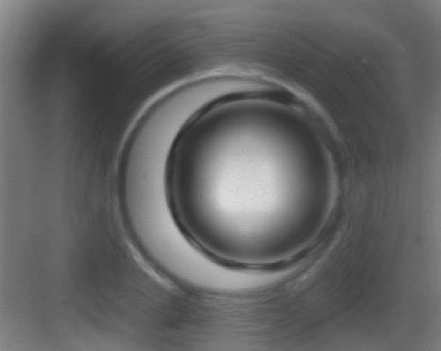 X0000083590838200702091151