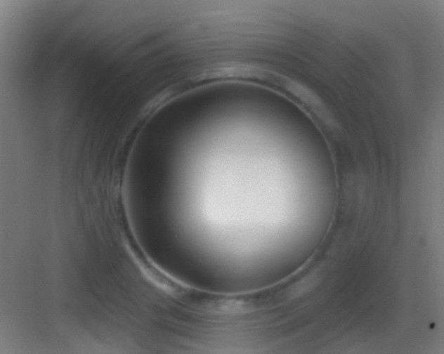 X0000083590841200702091151