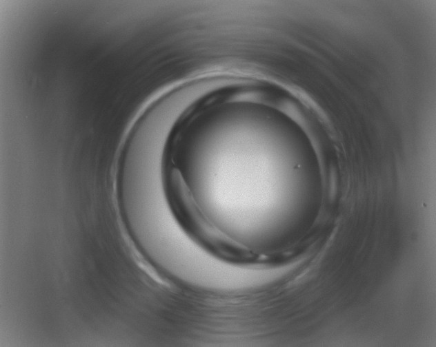 X0000083590846200702091151