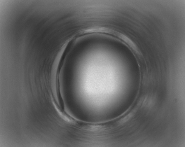 X0000083590849200702091151