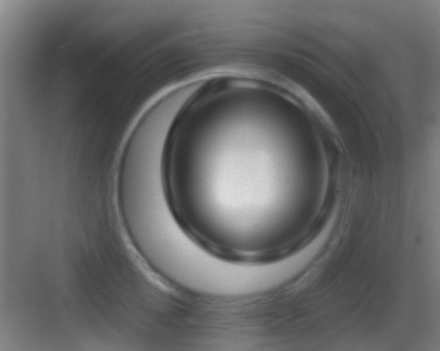 X0000083590854200702091151