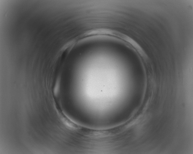 X0000083590857200702091151