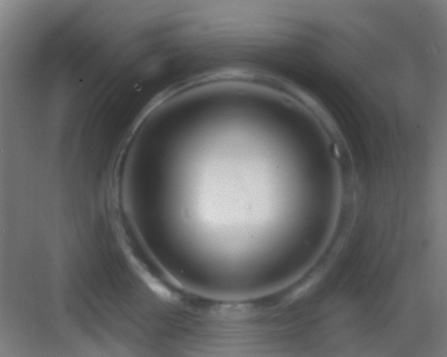 X0000083590858200702091151