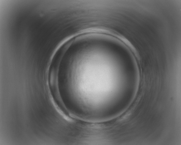 X0000083590862200702091151