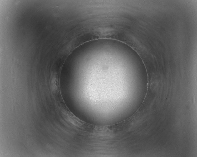 X0000083590866200702091151