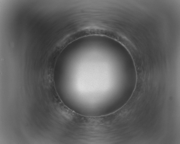 X0000083590870200702091151