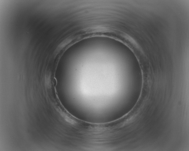 X0000083590873200702091151