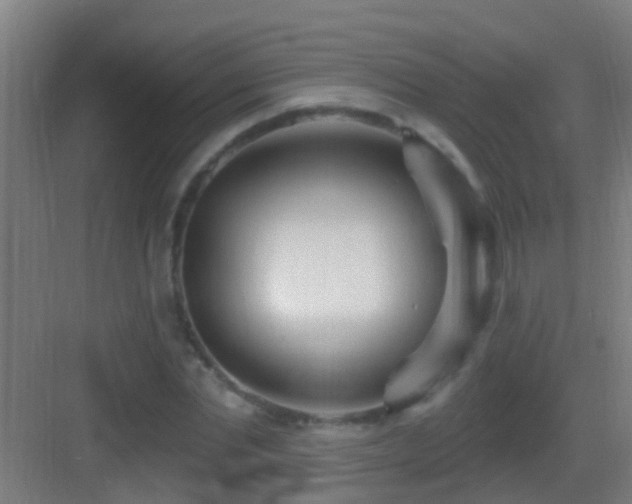 X0000083590877200702091150