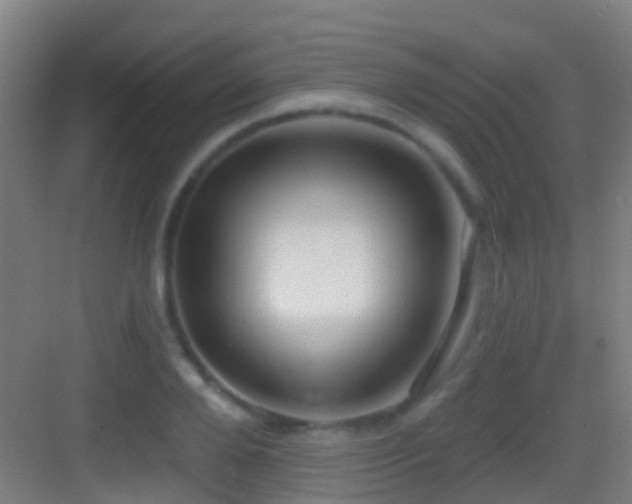 X0000083590888200702091150