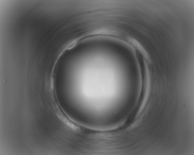 X0000083590900200702091150