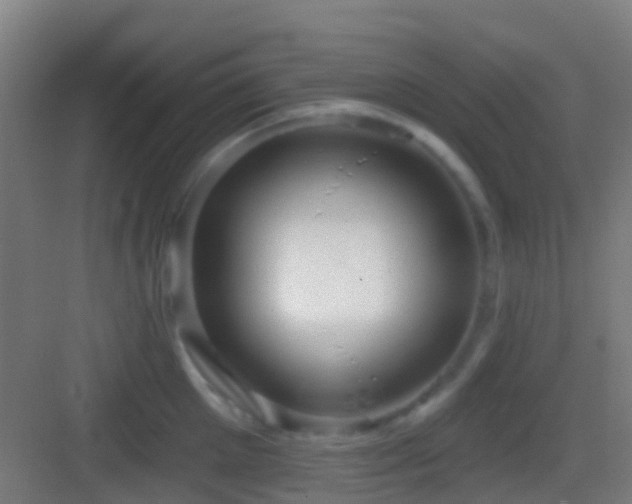 X0000083590905200702091150