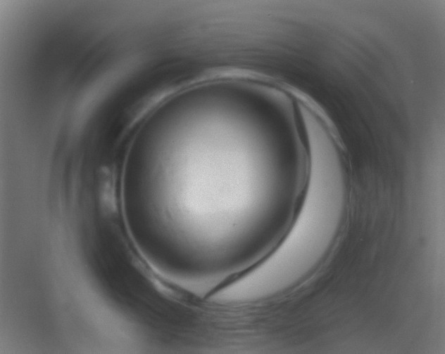 X0000083590910200702091150