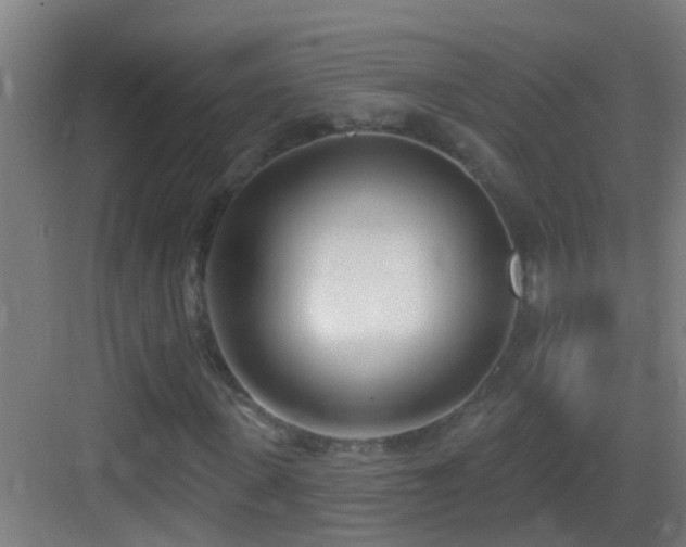 X0000083590915200702091149