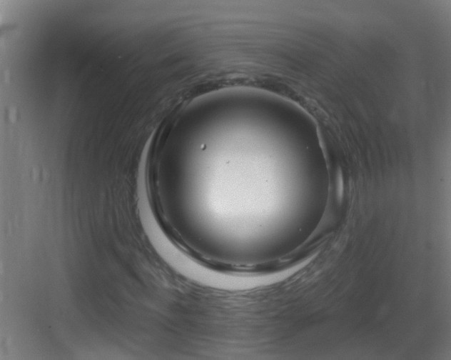 X0000083590916200702091149